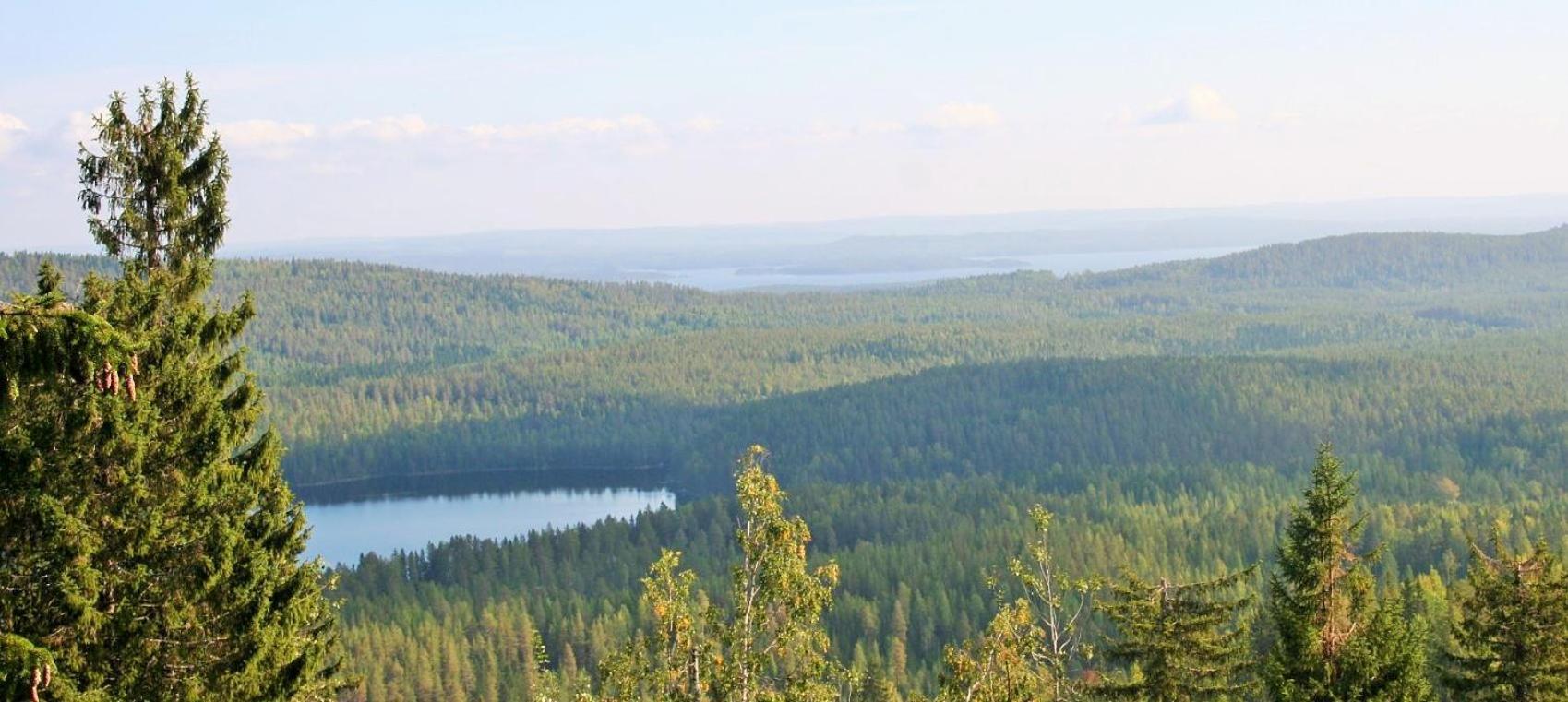Guesthouse Koli Freetime Ahmovaara Exterior foto